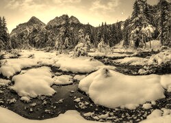 Szary + Sepia