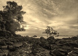Sepia