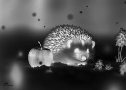 Szary + Negatyw