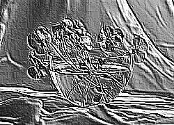 Skamielina