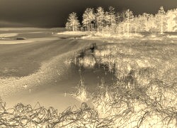 Sepia + Negatyw