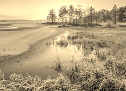Szary + Sepia