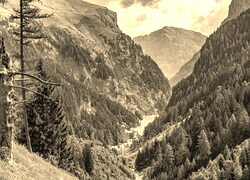 Sepia