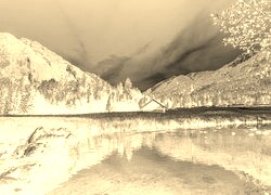 Sepia + Negatyw