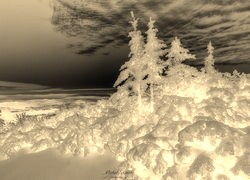 Sepia + Negatyw
