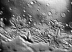 Skamielina