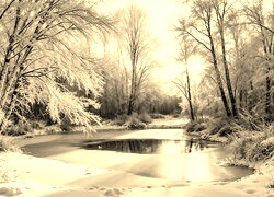Szary + Sepia