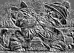Skamielina