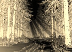 Sepia + Negatyw