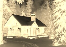 Sepia + Negatyw