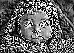 Skamielina