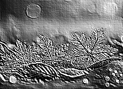 Skamielina