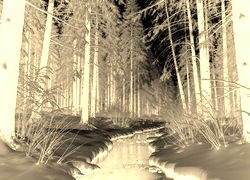 Sepia + Negatyw