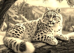 Szary + Sepia