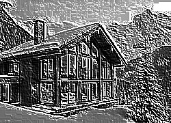 Skamielina