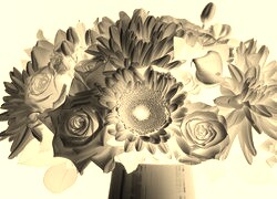 Sepia + Negatyw