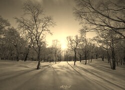 Sepia