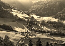 Szary + Sepia