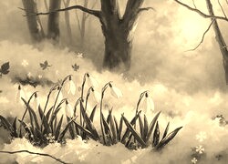 Szary + Sepia