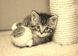 Szary + Sepia