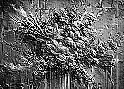Skamielina
