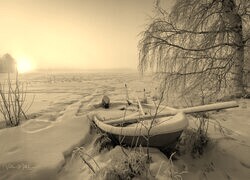 Szary + Sepia