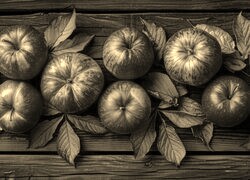Szary + Sepia