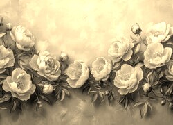Szary + Sepia
