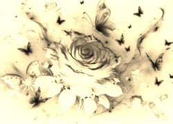 Sepia + Negatyw