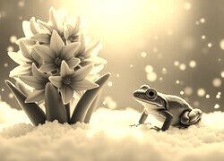 Szary + Sepia