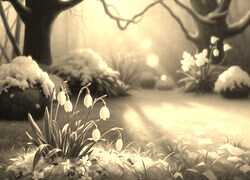 Szary + Sepia