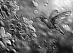 Skamielina