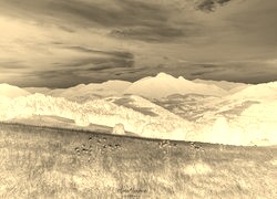 Sepia + Negatyw
