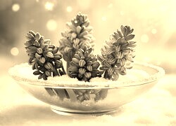 Szary + Sepia
