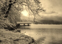 Szary + Sepia