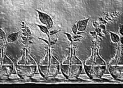 Skamielina