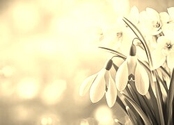 Szary + Sepia