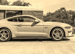 Sepia