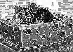 Skamielina
