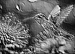 Skamielina