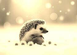 Szary + Sepia