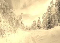 Szary + Sepia