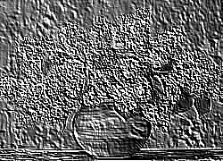 Skamielina