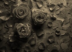 Szary + Sepia