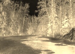 Sepia + Negatyw