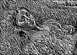 Skamielina