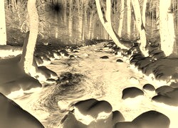 Sepia + Negatyw