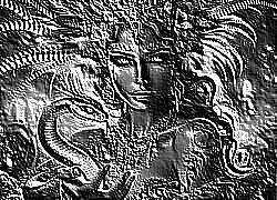 Skamielina