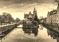 Szary + Sepia