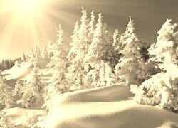 Szary + Sepia